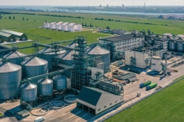Allseeds призупиняє операційну діяльність на Одещині