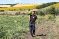На Одещині колишній військовий виростив перший урожай кавунів&nbsp;