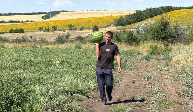 На Одещині колишній військовий виростив перший урожай кавунів&nbsp;
