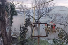 Підприємці з Миколаївщини за 2 місяці відновили тепличне господарство