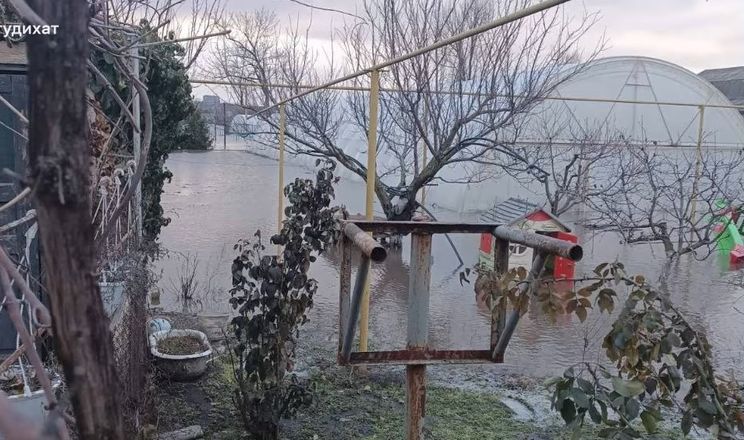 Підприємці з Миколаївщини за 2 місяці відновили тепличне господарство