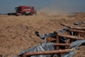 На Донеччині попри обстріли тривають жнива