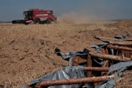 На Донеччині попри обстріли тривають жнива