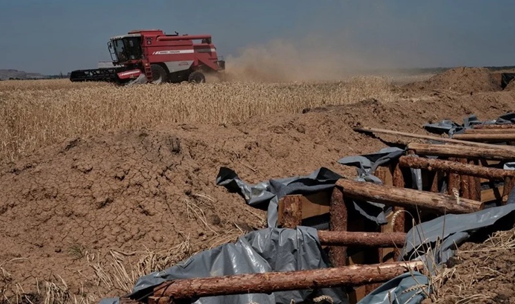На Донеччині попри обстріли тривають жнива