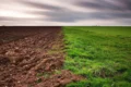 Високий вміст гумінових речовин на етикетці не гарантує ефективності продукту