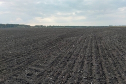 У господарствах на Черкащині випробовують різні системи обробітку ґрунту