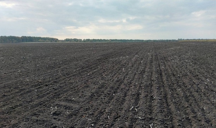 У господарствах на Черкащині випробовують різні системи обробітку ґрунту
