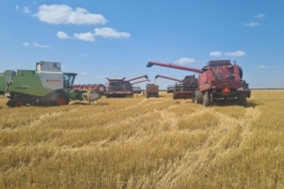 Жнива пшениці завершили в Dnipro Agro Group: названа врожайність