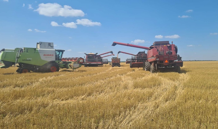 Жнива пшениці завершили в Dnipro Agro Group: названа врожайність