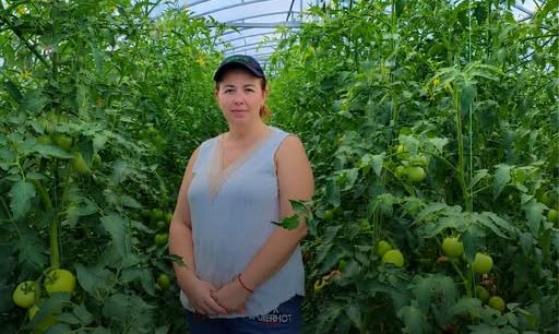 Підприємиця з Харківщини отримала 300 тис. грн на розвиток теплиць