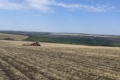 Сівба озимого ріпаку стартувала в найбільшому господарстві Tekom Agro Group
