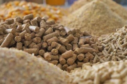 International School of Feed запрошує на триденний тренінг з мистецтва виробництва високопродуктивних та якісних комбікормів
