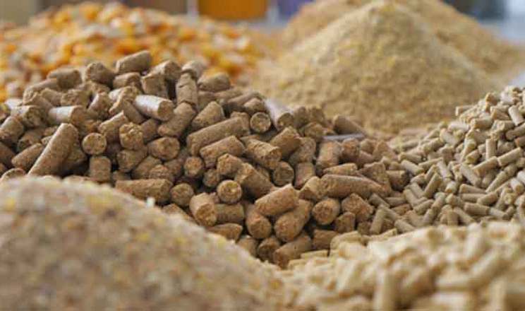 International School of Feed запрошує на триденний тренінг з мистецтва виробництва високопродуктивних та якісних комбікормів