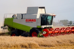KSG Agro завершив жнива ранніх зернових: дощі вплинули на якість частини врожаю