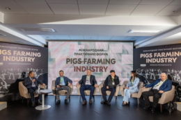 Свинарі зберуться на Міжнародний форум Pigs Farming Industry 9-10 вересня у Львові