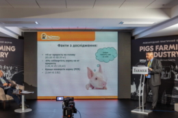 Про благополуччя свиней в ЄС і Україні йтиметься на форумі Pigs Farming Industry