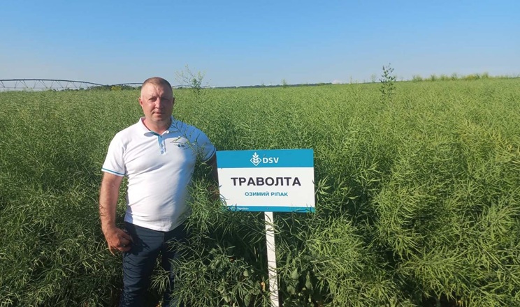 Надранні посіви ріпаку озимого: чи варто знижувати густоту сівби