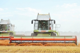 Три господарства Tekom Agro Group завершили збирання сочевиці