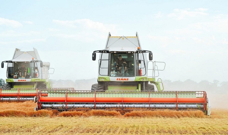 Три господарства Tekom Agro Group завершили збирання сочевиці