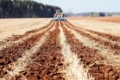 “Нібулон Агро” впроваджує strip-till на площі майже 14,5 тис. га