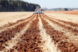 “Нібулон Агро” впроваджує strip-till на площі майже 14,5 тис. га