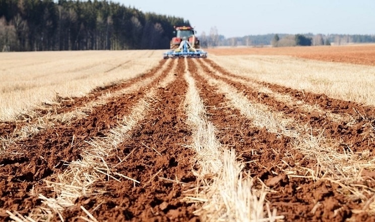 “Нібулон Агро” впроваджує strip-till на площі майже 14,5 тис. га