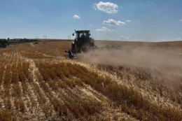 Підготовка ґрунту під урожай-2027 триває в  Tekom Agro Group