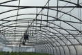 Витрати на гектар овочів сягнули до 450 тис. грн