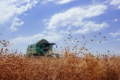 Два господарства Tekom Agro Group зібрали перший урожай льону