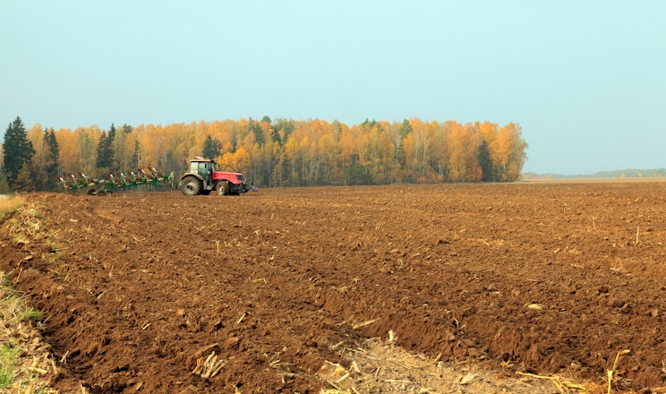 МХП скорочує обробіток ґрунту та норми висіву