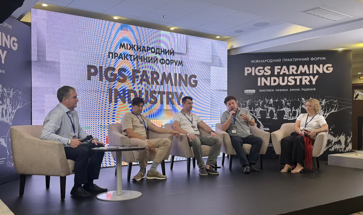 Під час форуму Pigs Farming Industry спрогнозували зростання цін на свинину