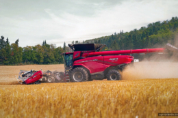 Комбайни CASE IH після 10 тис. мотогодин продовжують працювати після ремонту двигунів