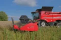 CASE IH витрачав 15–16 л/га
