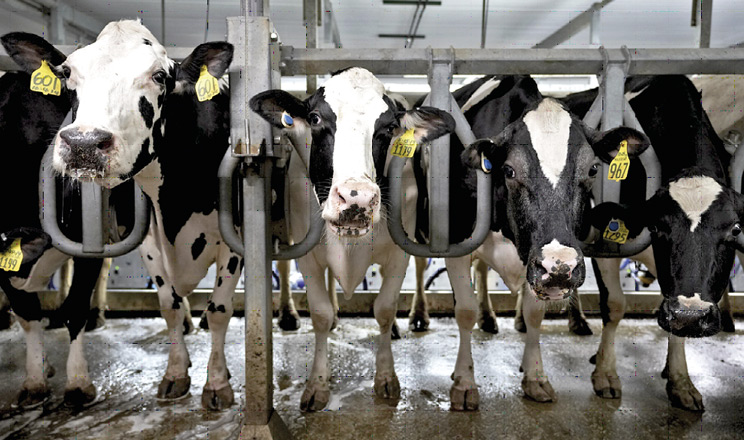 Зворотний бік продуктивності