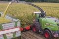 Fendt ForageQualityCam контролює якість подрібнення кукурудзи в реальному часі