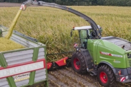 Fendt ForageQualityCam контролює якість подрібнення кукурудзи в реальному часі