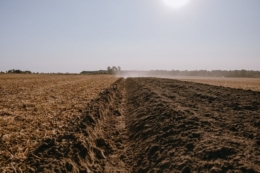 Після випробування no-till у «Крячківка Агро» повернулися до оранки