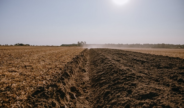 Після випробування no-till у «Крячківка Агро» повернулися до оранки