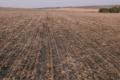 У господарстві поєднують strip-till і традиційний обробіток ґрунту