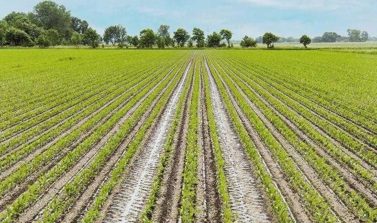 Семирічний no-till допомагає працювати за нестабільної навігації