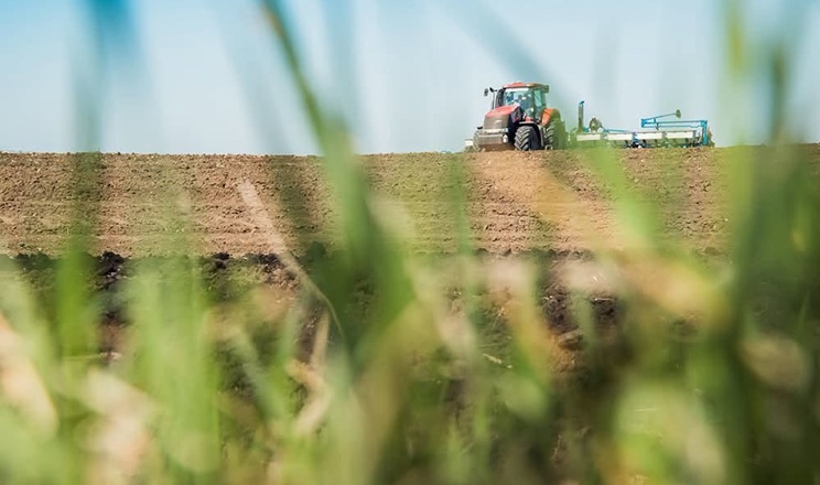 Осіння посівна стартувала на Прикарпатті