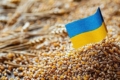 Індонезія посилила вимоги щодо експорту української пшениці