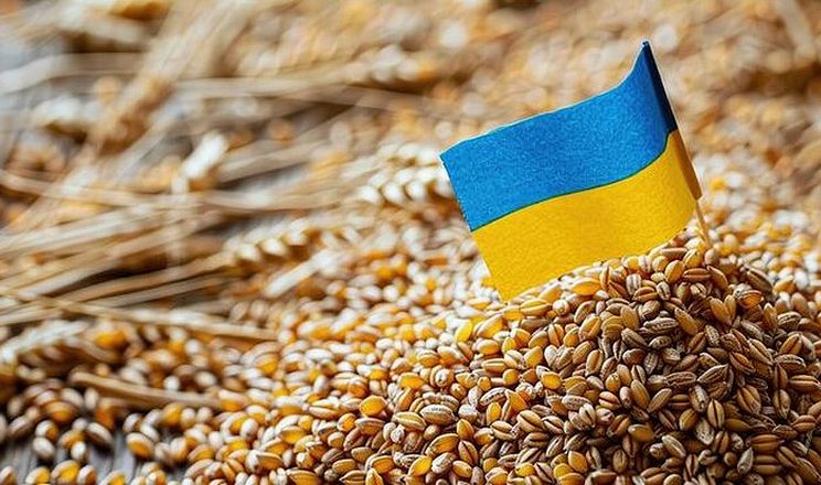Індонезія посилила вимоги щодо експорту української пшениці