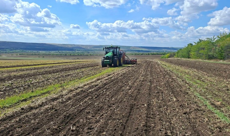 Сівба озимого ріпаку завершується в «Агрейн»