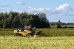 «АГРОТРЕЙД» завершила збирання технічних конопель