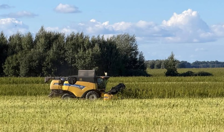 «АГРОТРЕЙД» завершила збирання технічних конопель