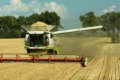 Найбільшим викликом для VITAGRO Agro цьогоріч стала посуха