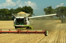 Найбільшим викликом для VITAGRO Agro цьогоріч стала посуха
