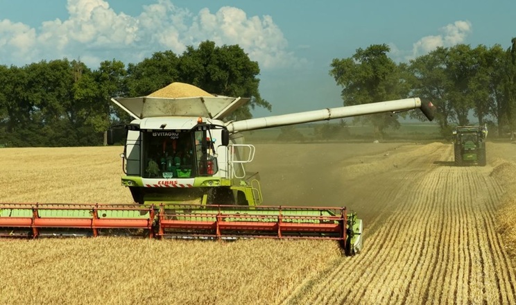 Найбільшим викликом для VITAGRO Agro цьогоріч стала посуха