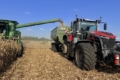 Harveast Holding завершує жнива соняшнику і починає збирати кукурудзу